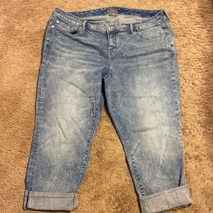 Torrid Boyfriend Crops